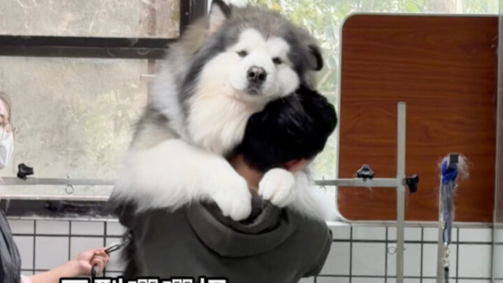 I was late picking it up for its bath…