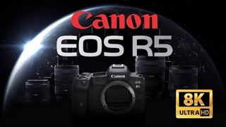 Đánh giá Canon EOS R5 120 triệu - đắt nhưng xắt ra miếng