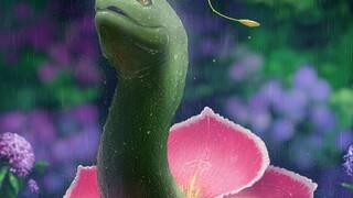 Real Pokémon! Chengdu