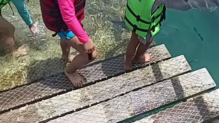 stingray 😱😱😱