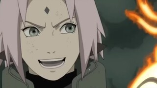 Konoha's Nonsense: White Sakura