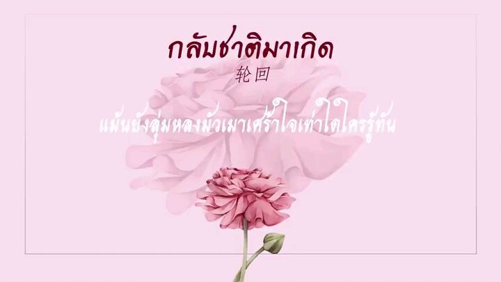 เพลงจีนแปลไหย กลีบชาติมาเกิด