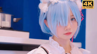 【蕾姆】刚买的，不知道好养不…有没有知道的说的一下？？