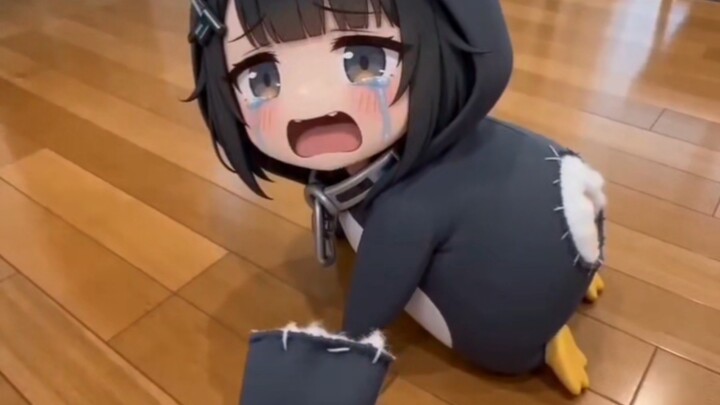 May xong bộ đồ chim cánh cụt, che kín mông của Tiểu Cốc Cáp