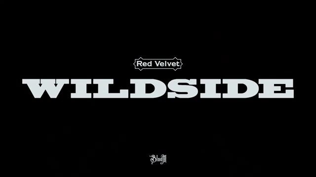 Red-Velvet-レッドベルベット-WILDSIDE-MV_2022 Japanese Version