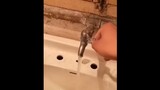 A funny singing faucet