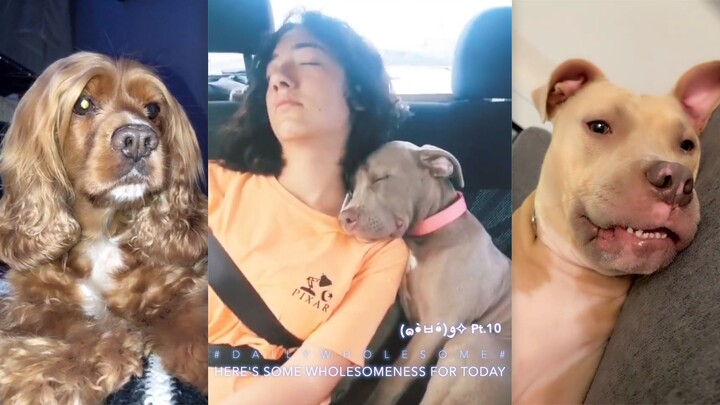 Have you ever seen a garlic kitten?