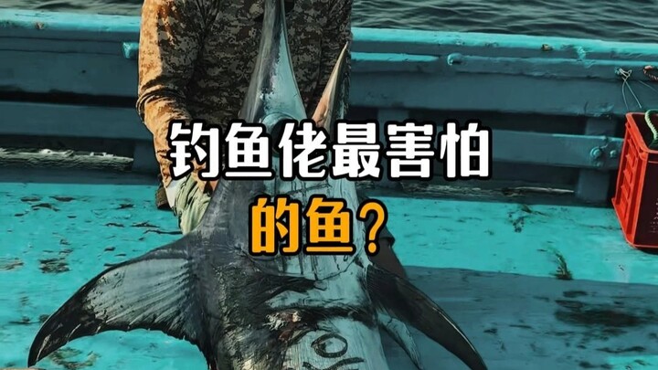 ปลาที่นักตกปลากลัวที่สุด?