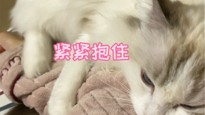 Kitten Massage "Forced Buy, Forced Sell"