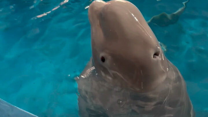 Be sure to watch till the end—these two little guys are each plotting their own schemes!