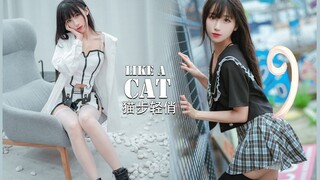 【蔓蔓】LIKE A CAT-猫猫怪盗又帅又性感♡猫步轻俏