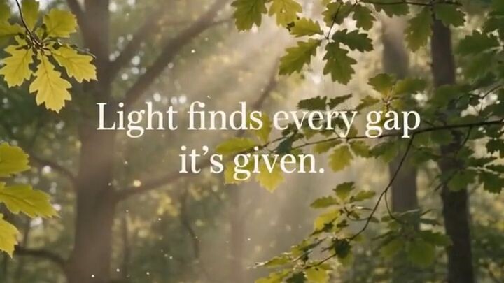 Light Finds Every Gap It's Given 🌿
