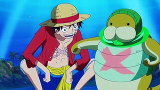 Luffy's former apprentice "Kung Fu Manatee"