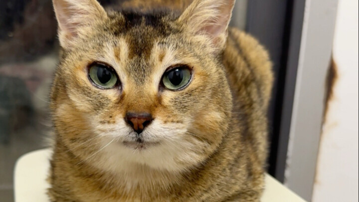 Sis Mei’s leveled up to a vegetable-destroying master this year!