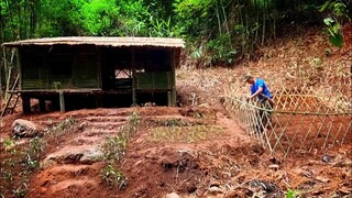 Sống một mình nơi hoang dã tập 3 | Trang Trí khu vườn Hoa Trồng rau củ quả