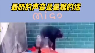 滑走你就草率了 # 原谅我不厚道的笑了 # 看一遍笑一遍 # 这操作都看傻了 # 小人精太可爱了