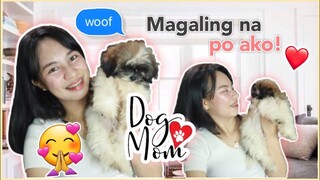 MAGALING NA PO AKO! ❤️ | Shih Tzu Update