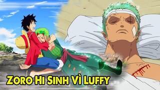 Zoro Hi Sinh Vì Luffy | Top 10 Khoảnh Khắc Biểu Tượng Của Băng Mũ Rơm