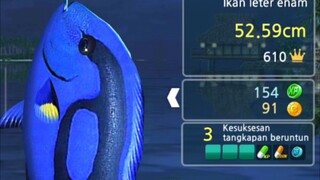 dapat sambaran ikan besar