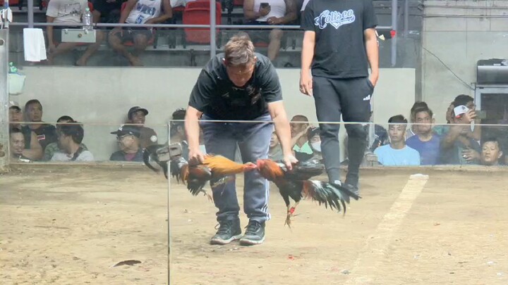 CDM HACKFIGHT GRUPONG DEHADO 2 😅☺️