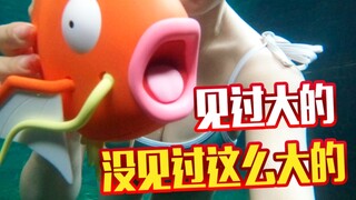 不要嘲笑鲤鱼王，我们都和他一样！万代鲤鱼王拼装Big01