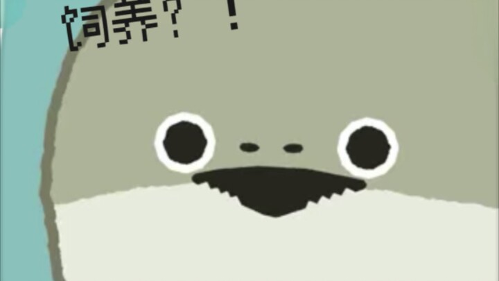 Keeping a Sacabamba turtle as a pet?