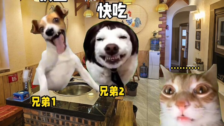 عندما ينفد المال من الأخ لشراء الطعام # ميم القط # الأخ #