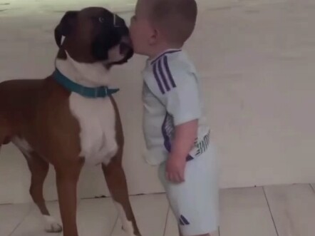 Ketika bayi imut bertemu dengan anjing peliharaan……