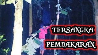 Di paksa turun dari pohon