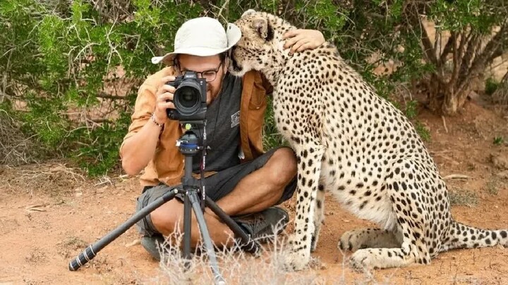 Wild Animals Blow Photographers Away in the Cutest Ways 🤪 Hilarious Animal Videos 2025