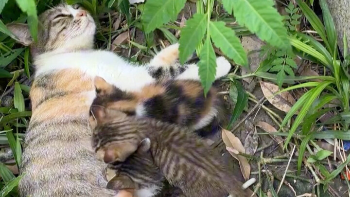 Even during Typhoon Tmall, Mom can still take excellent care of her baby.