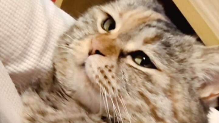 Hungry, I lie in my mom's arms—when will the jar arrive?