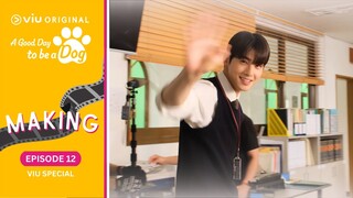 Episode 12 Viu Special | A Good Day to be a Dog | Cha Eun Woo, Park Gyu Young [ENG SUB]