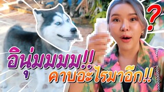 อาหารสุดแปลกของ ข้าวนึ่งข้าวนุ่ม อินุ่มสร้างเรื่องตลอดเลย - ข้าวนึ่ง & เดอะแก๊ง