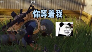 呆傻的小菜