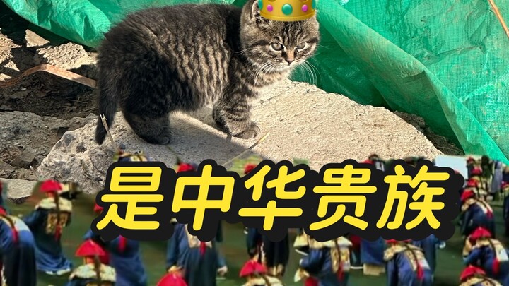 Pengungkapan besar-besaran tentang latar belakang pembelian 0 yuan; ternyata dia adalah bangsawan?
