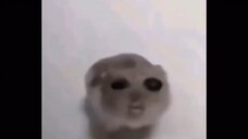 啦啦啦