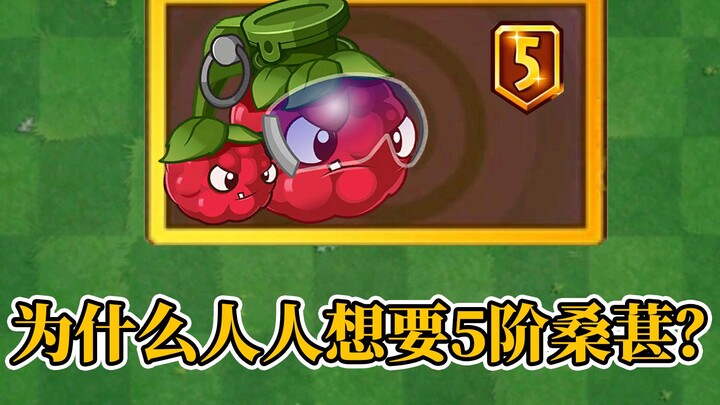 Pvz2: Mengapa semua orang menginginkan Penembak Buah Aronia Level 5?