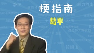 葛平是谁【梗指南】