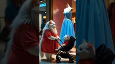 She has the best husband...Lord Meowington الترجمة العربية