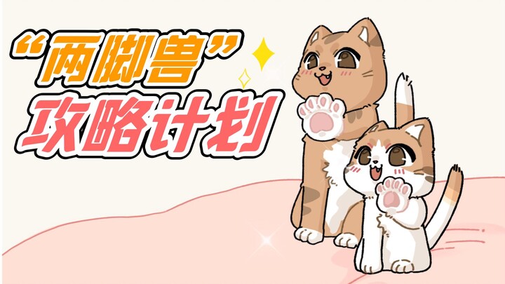 I accidentally discovered the little cat's plan to rule the Earth...