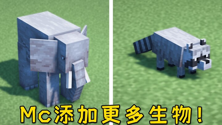 Bagaimana jika MC menambahkan berbagai makhluk hidup dari dunia nyata? Rakun kecil ini masih akan me