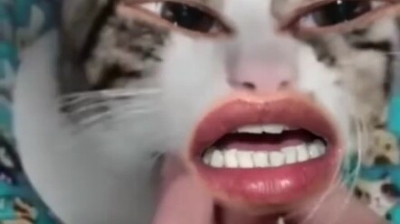 Ngôn ngữ động vật 2