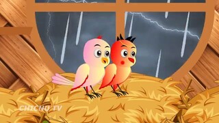 Rano Chidiya Wala Cartoon _ कार्टून चिड़िया _ NewTuni Achi Cartoon _ Hindi Kahan