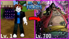 NOOB TO PRO USING REWORKED DARK FRUIT V1 IN ROBLOX BLOX FRUITS