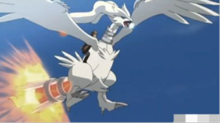 Zekrom  Reshiram  AMV  Gone Forever #amv #pokemon