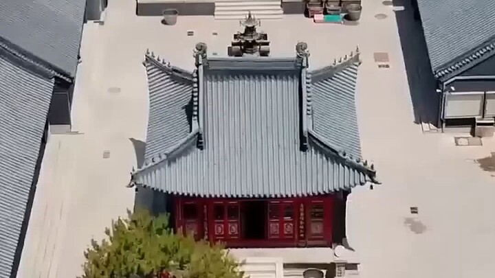 (เต็มเรื่อง)เด็กหญิงวัย 6 ขวบมีพลังวิเศษ ลงจากเขาเพียงโบกมือก็รักษาซีอีโอหาย และช่วยเขาสร้างอาณาจักร