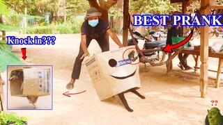 [TOP BEST PRANK] Super Huge Box vs Prank Sleeping Dog - Very Funny moment ! how to stop Laugh?