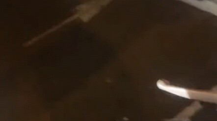 The Difference Between People