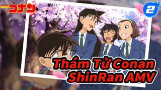 Thám Tử Conan 
ShinRan AMV_2